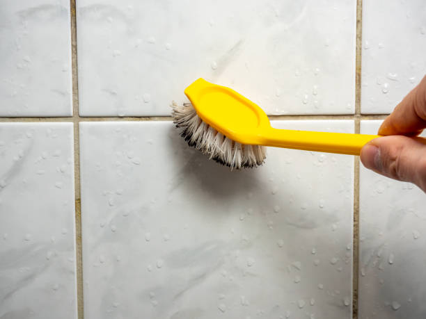Best Mold Testing  in Elmore, OH