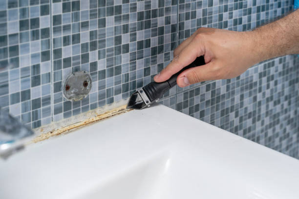 Best Best Mold Removal Companies  in Elmore, OH